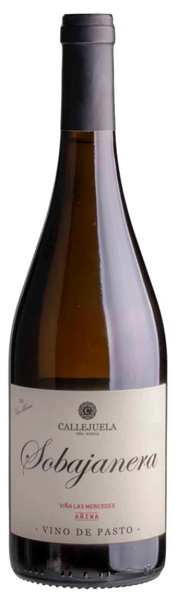 Gregorio Díez - Sobajanera Mercedes Añina