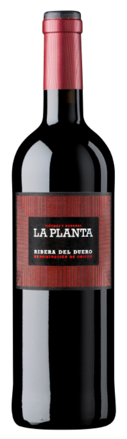 Gregorio Díez - La Planta Roble